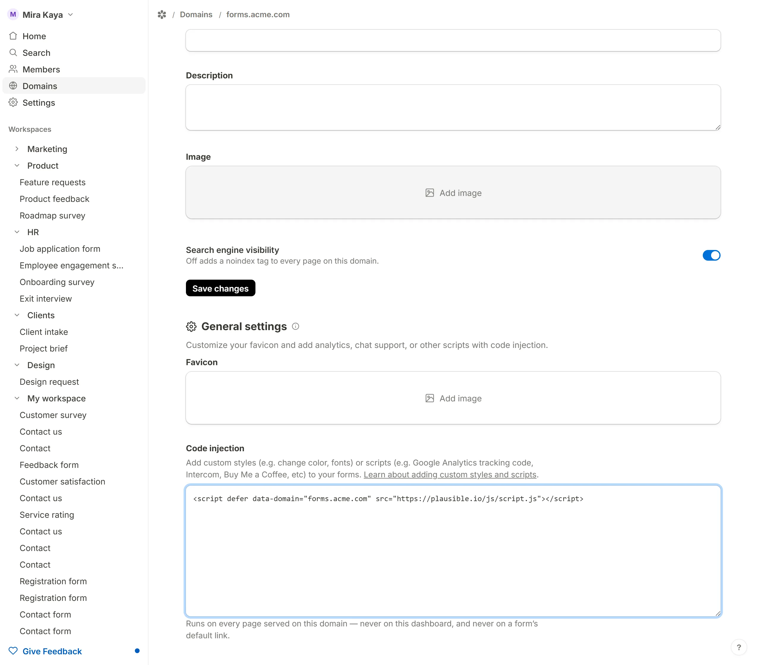 The domain's General settings, with an analytics script in the Code injection box